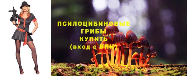 спиды Аркадак