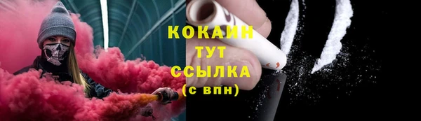 спиды Аркадак